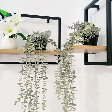 Maritsa * Пастида