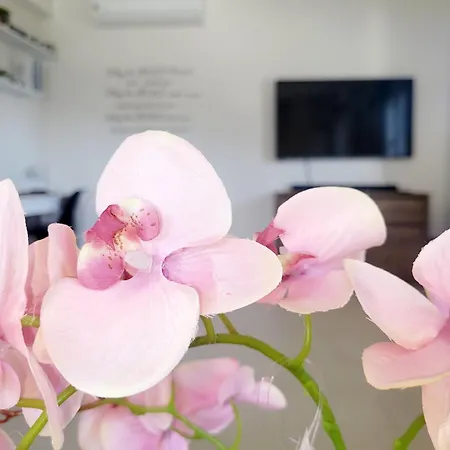 Maritsa 빌라 파스티다