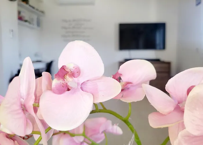 Maritsa Villa Pastida